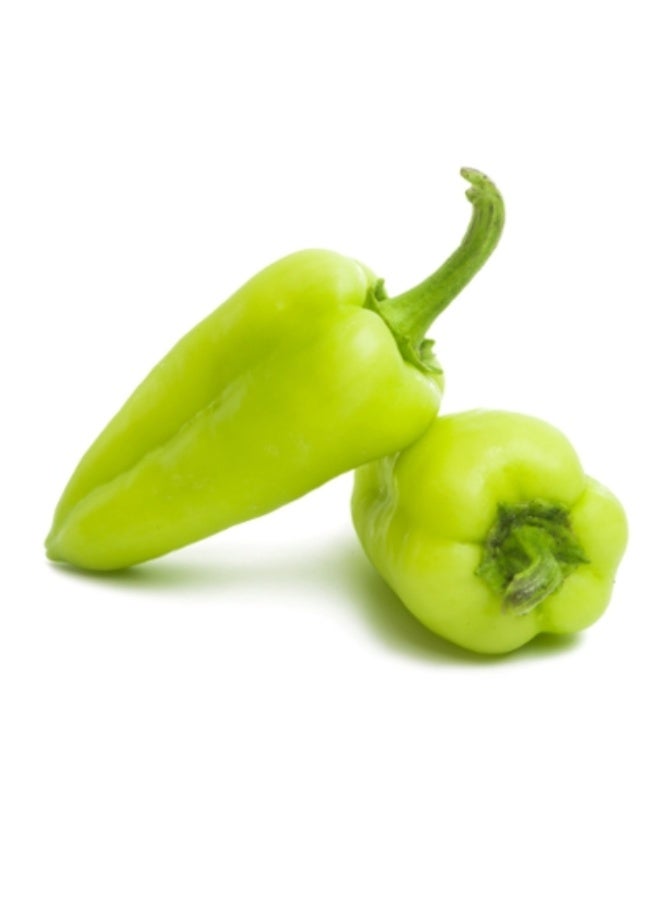 Capsicum green 500g
